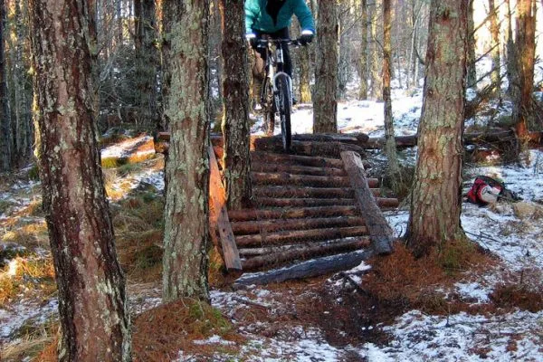 cycling-in-the-woods
